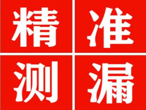 馆陶尚嘉漏水精准查找