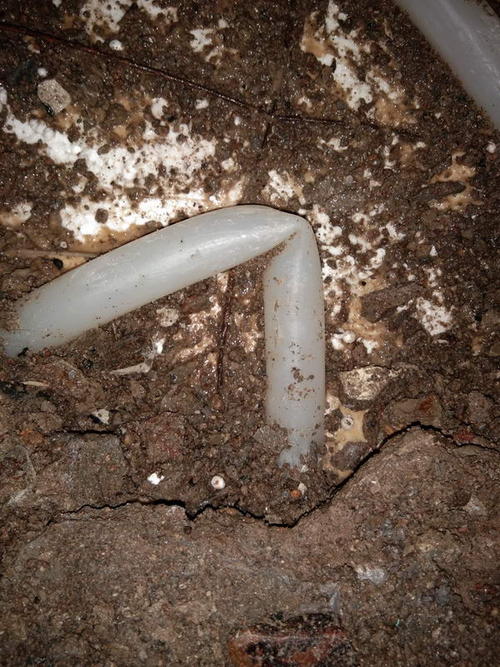 馆陶堵点精准查找